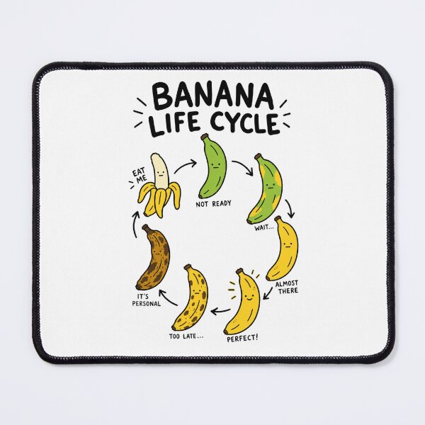 Item preview, Funny Banana Life Cycle Evolution designed and sold by MonkiFlipp.