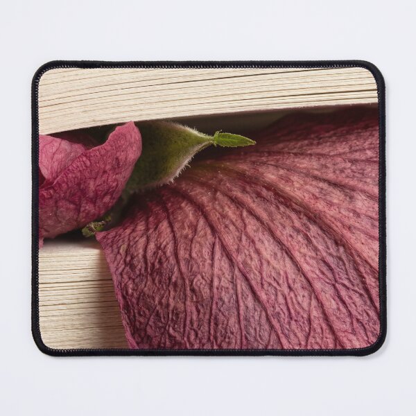 Item preview, A Memory Pressed Into Quiet Pages designed and sold by ASSEMBLE WONDER.