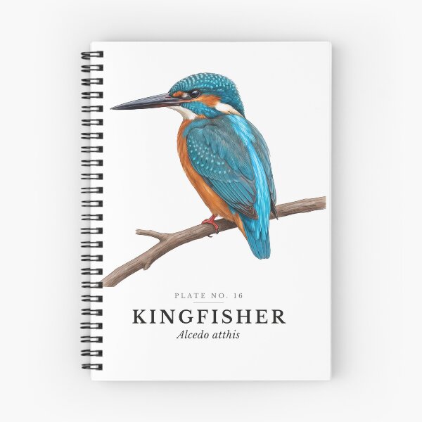 Item preview, Kingfisher Vintage Bird Plate - Alcedo atthis designed and sold by SavannahMerch.