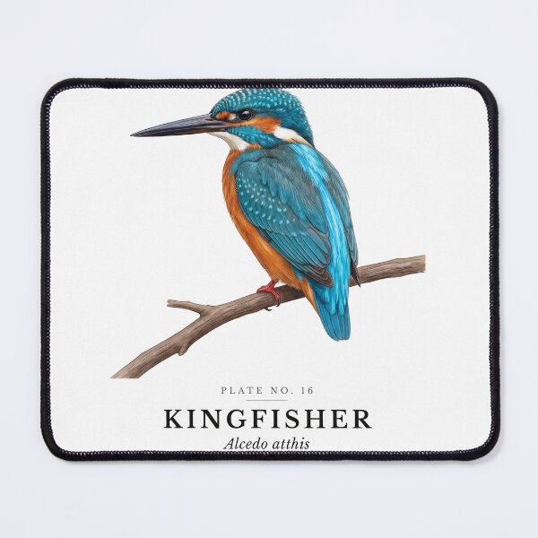 Item preview, Kingfisher Vintage Bird Plate - Alcedo atthis designed and sold by SavannahMerch.