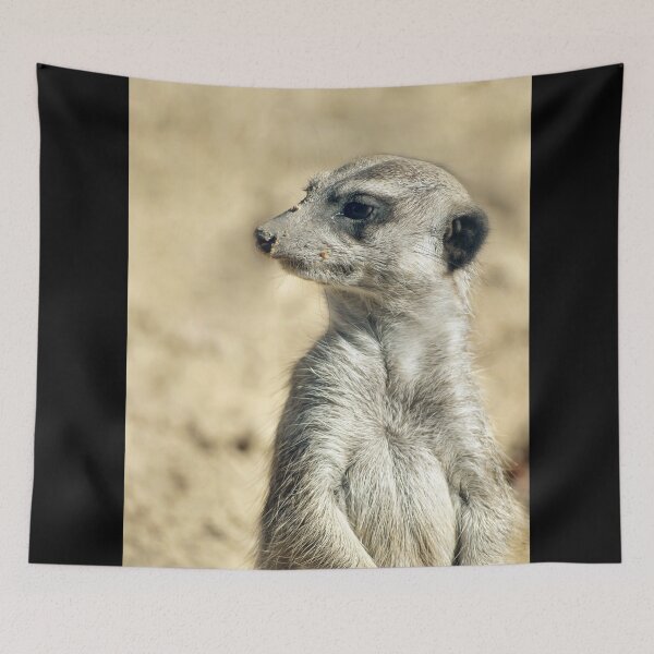 Aperçu de l'œuvre Portrait de suricate, art animalier africain créée et vendue par Vac1.