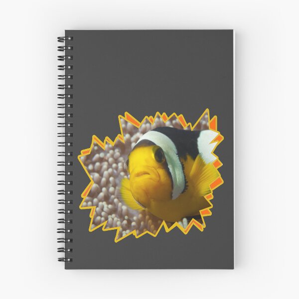 Item preview, Saddleback Clownfish Close-Up Starburst * Raja Ampat Art |  designed and sold by Photo & Design Ute Niemann.