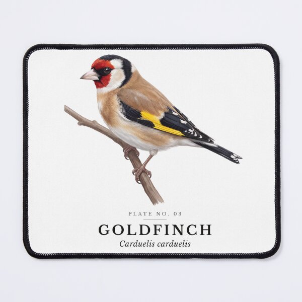 Item preview, Goldfinch Vintage Bird Plate - Carduelis carduelis designed and sold by SavannahMerch.
