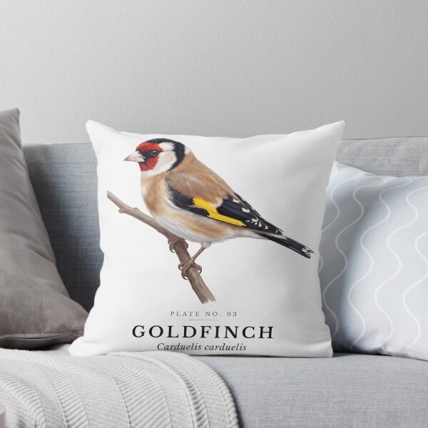 Item preview, Goldfinch Vintage Bird Plate - Carduelis carduelis designed and sold by SavannahMerch.