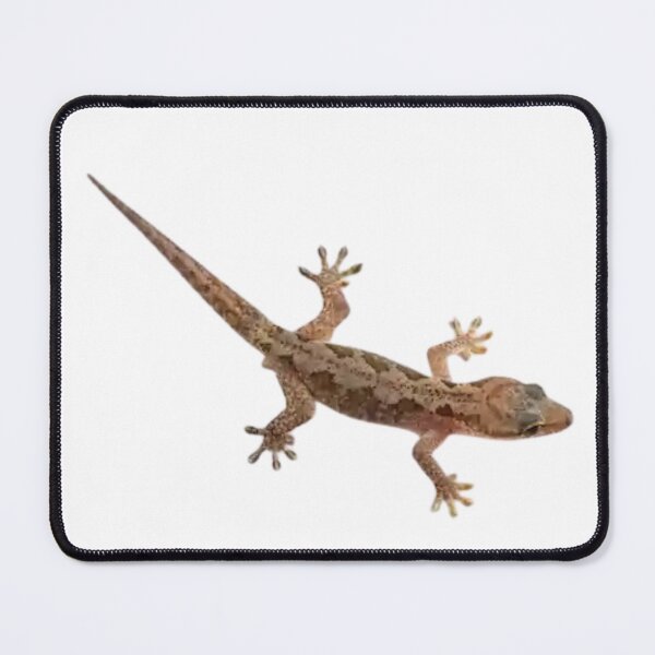 Item preview, Realistic Gecko Lizard Reptile Nature Wildlife Lover Vintage Animal Design designed and sold by Charonde.