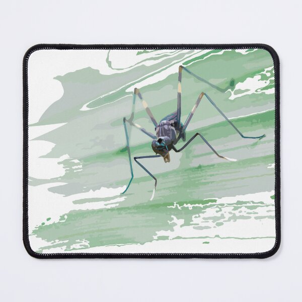 Item preview, stilt-legged fly on green turmeric leaf. designed and sold by MiMee4451.