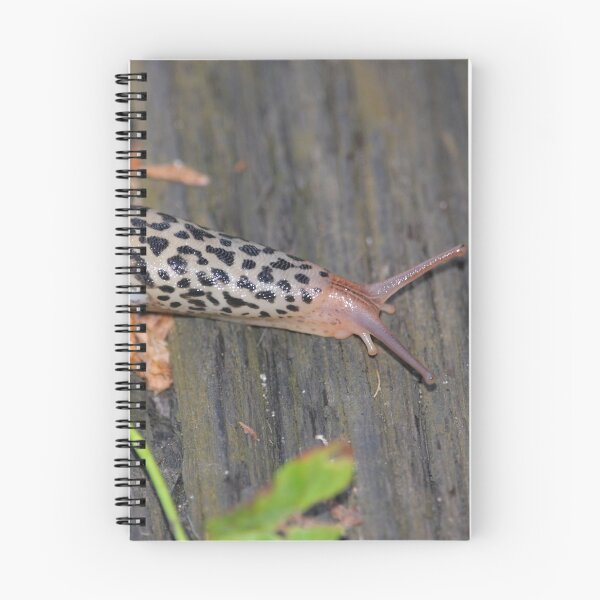 Item preview, Leopard Slug on Weathered Wood designed and sold by DansCreations42.