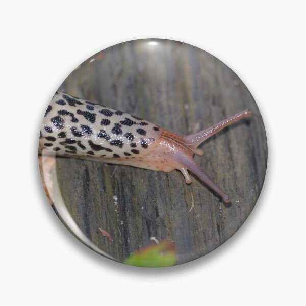 Item preview, Leopard Slug on Weathered Wood designed and sold by DansCreations42.