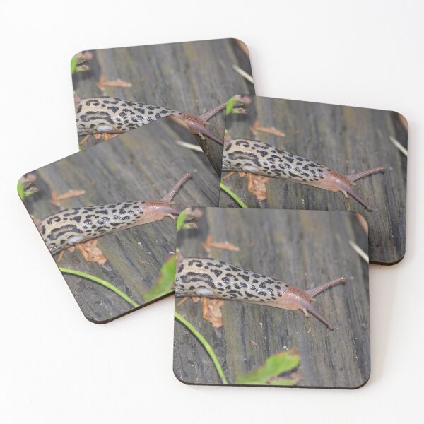 Item preview, Leopard Slug on Weathered Wood designed and sold by DansCreations42.