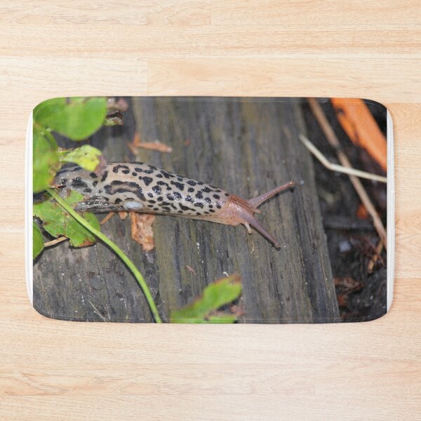 Item preview, Leopard Slug on Weathered Wood designed and sold by DansCreations42.