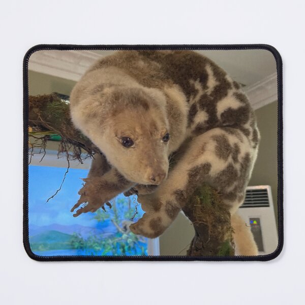 Item preview, The Sloth Hanging on the branch designed and sold by Tantriemma.