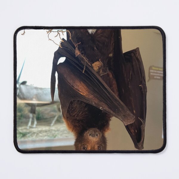 Item preview, The bat hanging upside down designed and sold by Tantriemma.