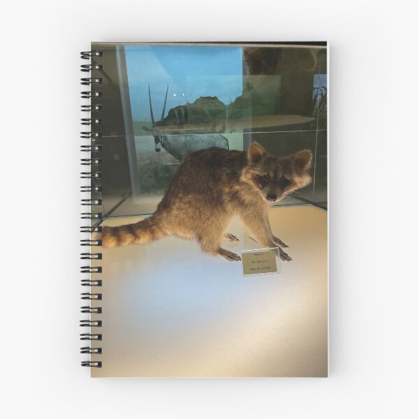 Item preview, The straight face raccoon designed and sold by Tantriemma.