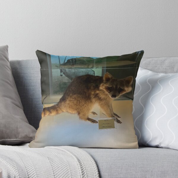 Item preview, El mapache con cara seria designed and sold by Tantriemma.