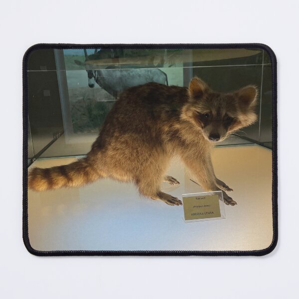 Item preview, The straight face raccoon designed and sold by Tantriemma.