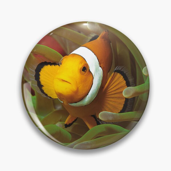 Item preview, Geometric Clownfish Octagon * Graphic Underwater Art |  designed and sold by Photo & Design Ute Niemann.