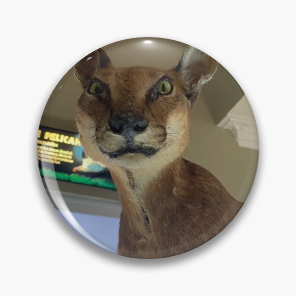 Item preview, Caracal wild cat taxidermy designed and sold by Tantriemma.