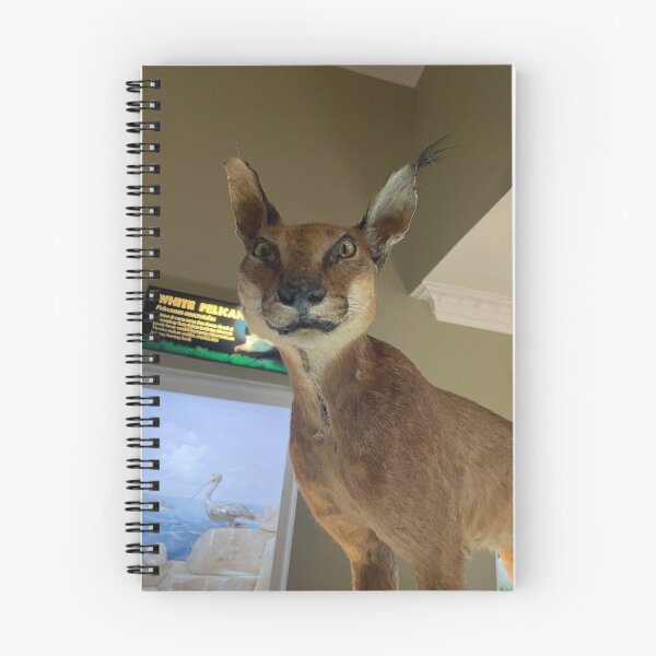 Item preview, Caracal wild cat taxidermy designed and sold by Tantriemma.