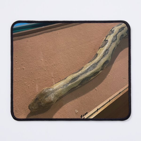 Item preview, Python Snake Art Print designed and sold by Tantriemma.