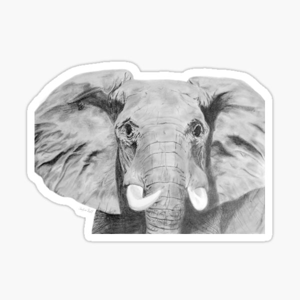 Elephant Sticker