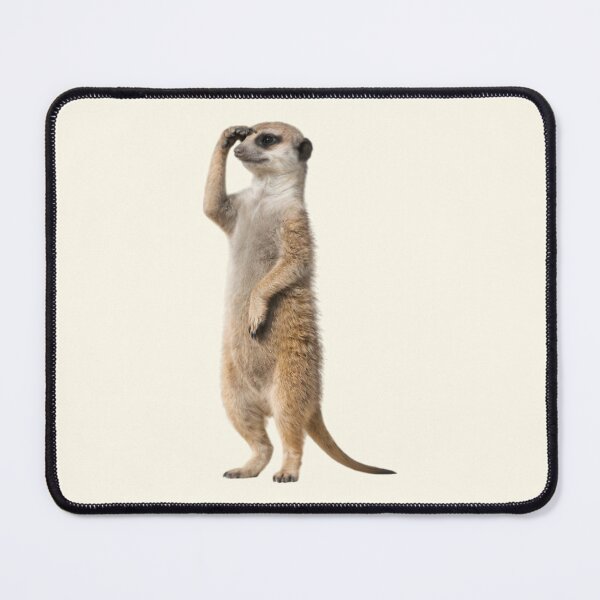 Item preview, Alert Meerkat Standing designed and sold by Agnisherl.