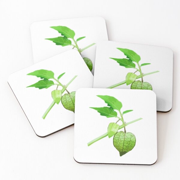 Item preview, Green Physalis angulata fruits. designed and sold by MiMee4451.