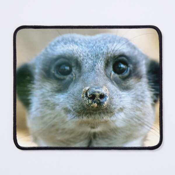 Item preview, Meerkat Portrait African Wildlife Photo Art designed and sold by Vac1.