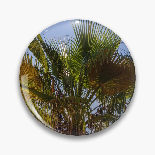 Item preview, Palm Tree Under Clear Blue Sky With Bright Green Fronds and Sunny Light designed and sold by Nmallia.