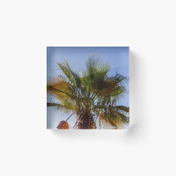 Item preview, Palm Tree Under Clear Blue Sky With Bright Green Fronds and Sunny Light designed and sold by Nmallia.