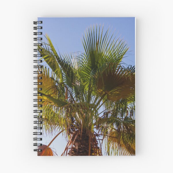 Item preview, Palm Tree Under Clear Blue Sky With Bright Green Fronds and Sunny Light designed and sold by Nmallia.