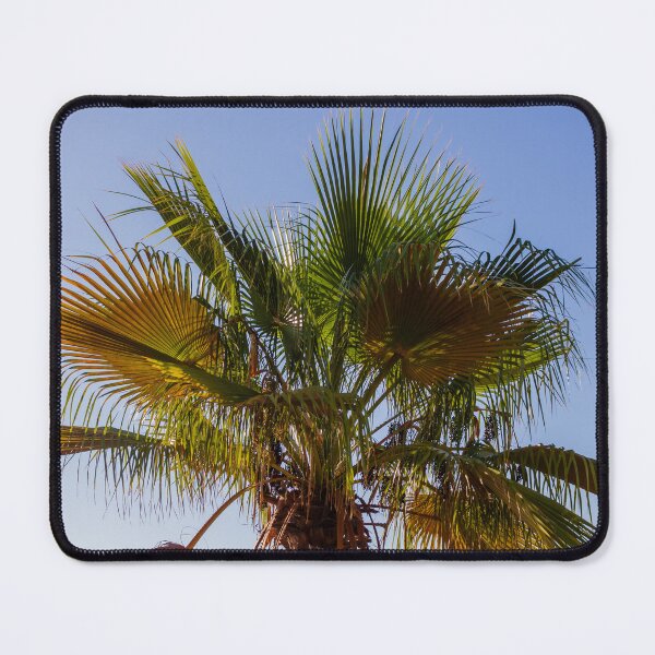 Item preview, Palm Tree Under Clear Blue Sky With Bright Green Fronds and Sunny Light designed and sold by Nmallia.