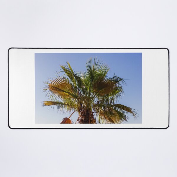 Item preview, Palm Tree Under Clear Blue Sky With Bright Green Fronds and Sunny Light designed and sold by Nmallia.