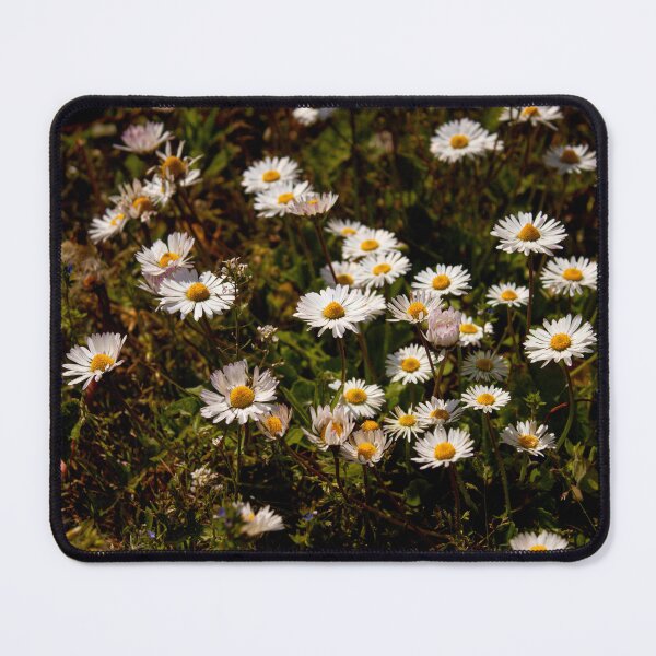 Item preview, Minimalist Shasta Daisy Field – High Contrast Floral Portrait designed and sold by ArtPrintsbyNathan.