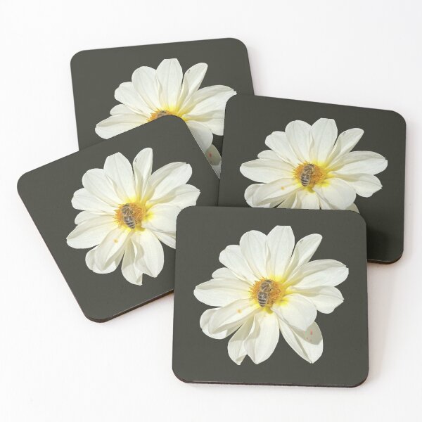 Item preview, White Dahlia Flower with Honeybee Pollinating designed and sold by BalkanBloomArt.