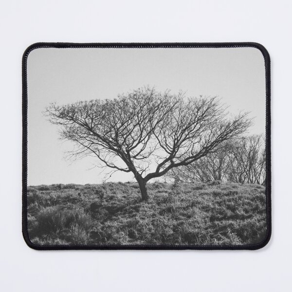 Item preview, Lone Guardian: Bare Tree on a Textured Hill designed and sold by anafrancisconi.