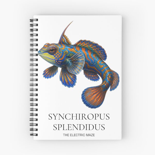 Item preview, Mandarinfish, Synchiropus Splendidus Naturalist Illustration designed and sold by wildlifethings.