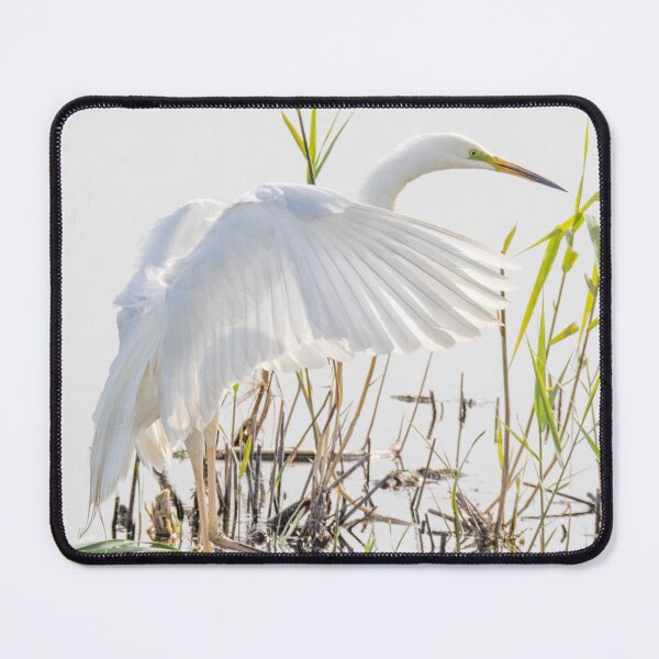Item preview, Great White Egret designed and sold by deeve0.