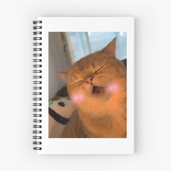 Item preview, Copy of Yapapa Cat Meme Mmmm | Funny Viral AI Ginger Kitty Art designed and sold by kuwagatamushi.