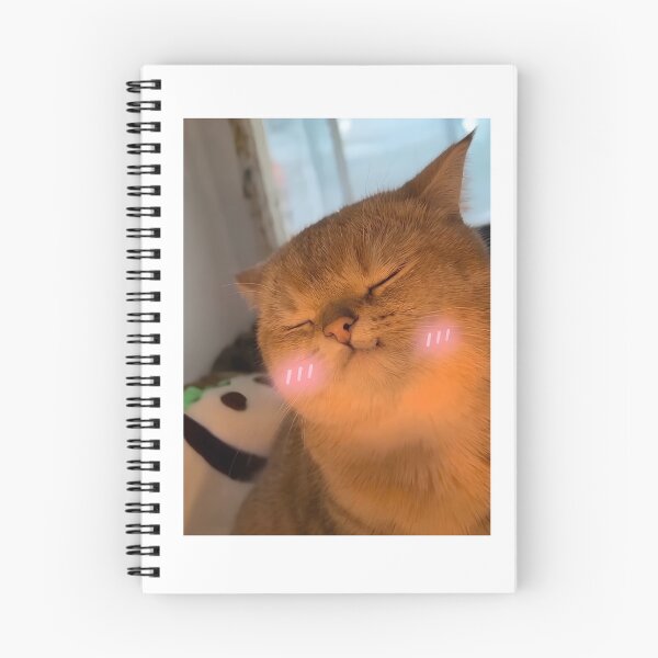 Item preview, Yapapa Cat Meme Mmmm | Funny Viral AI Ginger Kitty Art  designed and sold by kuwagatamushi.