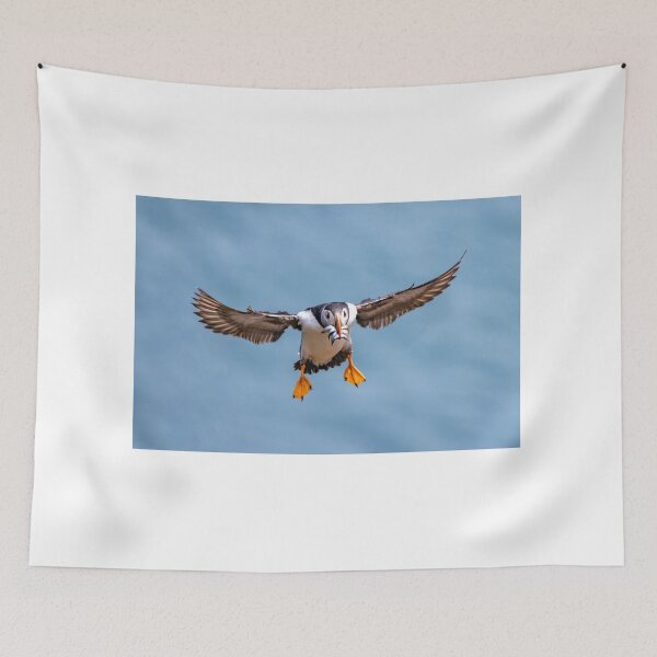 Item preview, Atlantic Puffin coming home with it's catch at Skomer, Pembrokeshire designed and sold by deeve0.