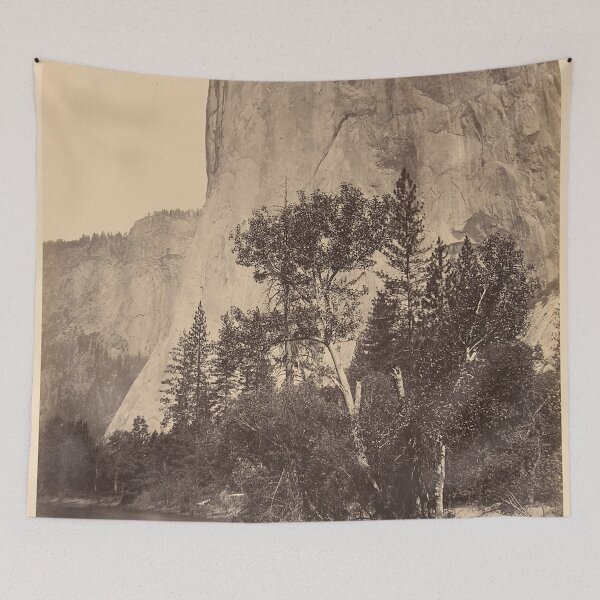 Item preview, Tutucanula, El Capitan 1861 designed and sold by AnimaliaStar.