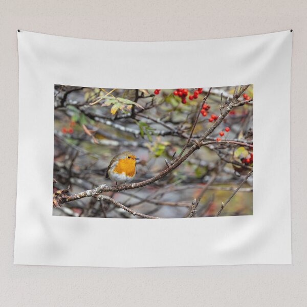 Item preview, Eurasian Robin  designed and sold by deeve0.
