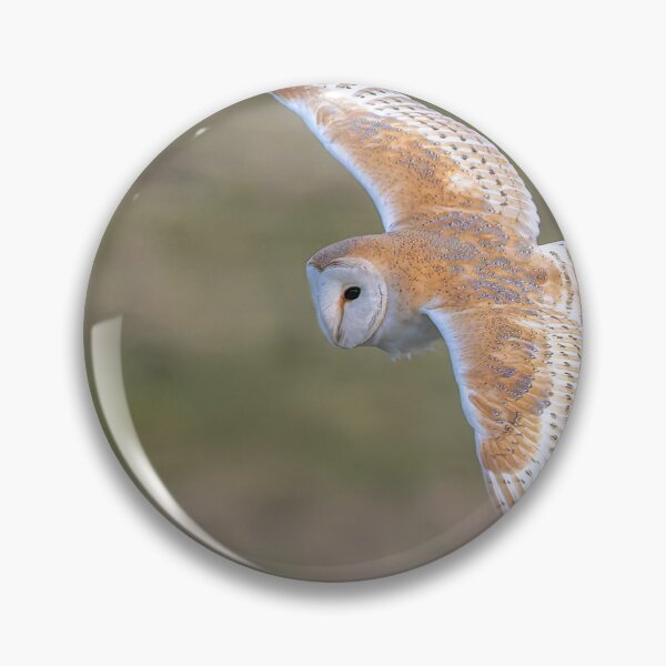 Item preview, A Barn Owl in flight designed and sold by deeve0.