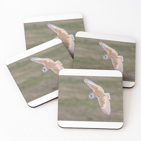 Item preview, A Barn Owl in flight designed and sold by deeve0.