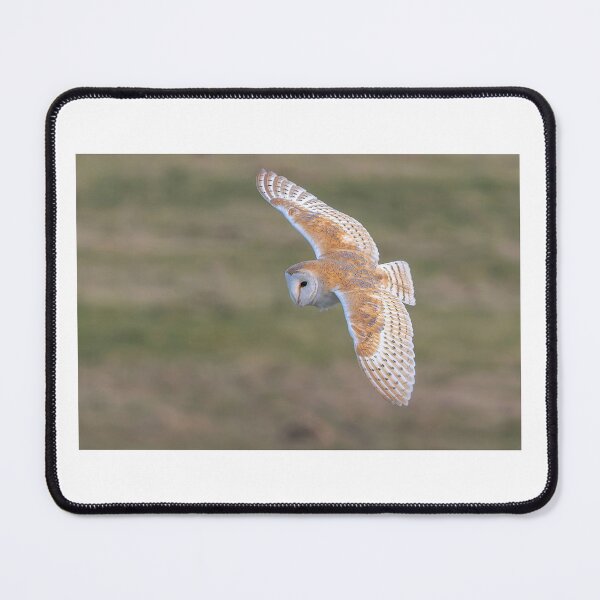 Item preview, A Barn Owl in flight designed and sold by deeve0.