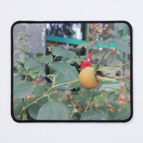 Item preview, Cute Apple in Green Garden designed and sold by PhuongVoArt.