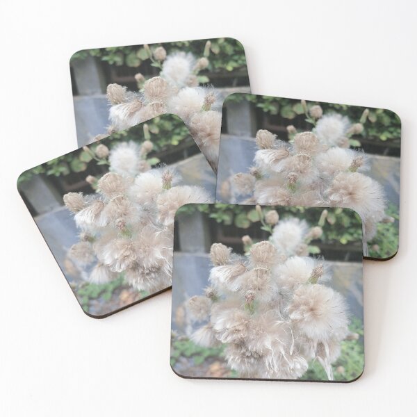 Item preview, White Fluffy Wildflower Close Up designed and sold by PhuongVoArt.