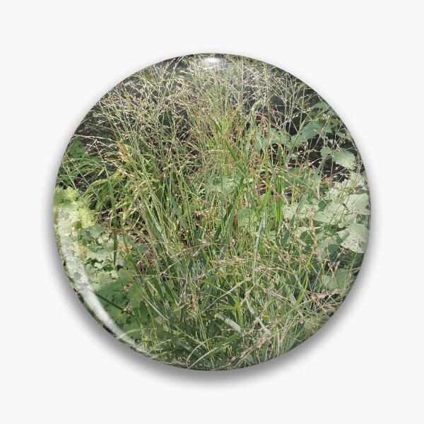 Artikelvorschau, Wild Grass in Natural Garden entworfen und verkauft von PhuongVoArt.