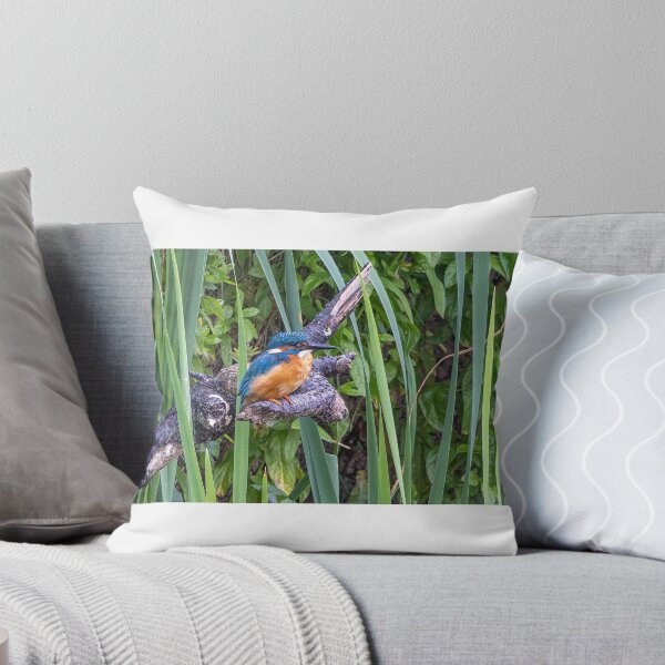 Item preview, Kingfisher  designed and sold by deeve0.
