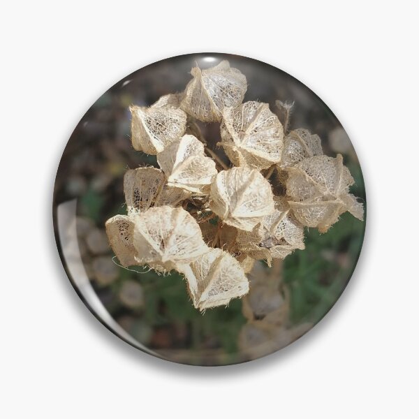Artikelvorschau, Dried White Flower Texture entworfen und verkauft von PhuongVoArt.